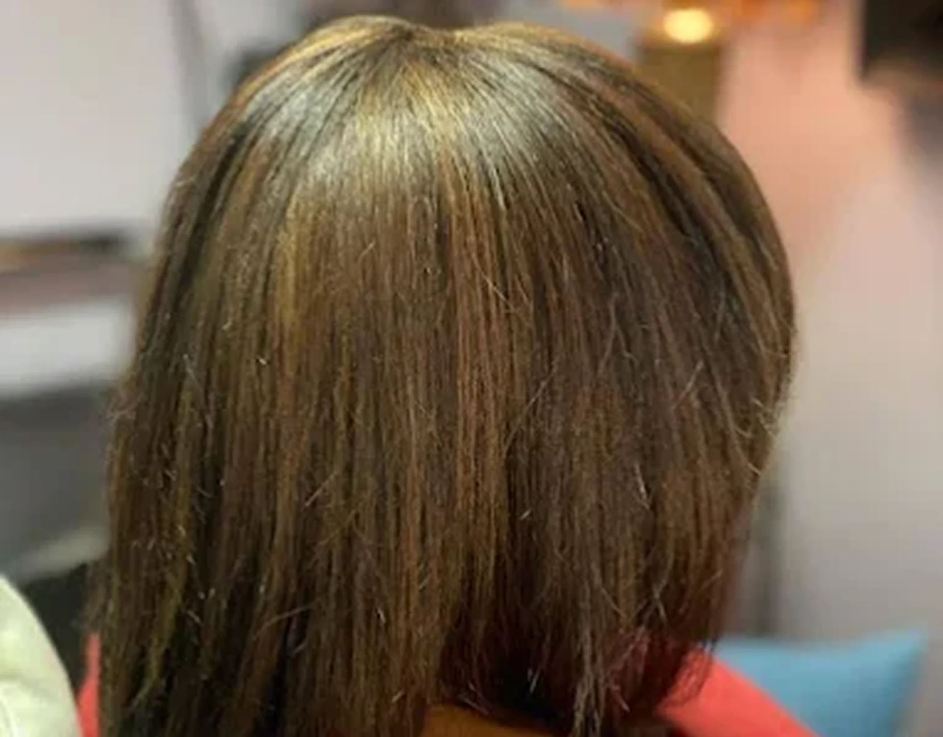 Brown straight hair, back view.